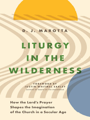 cover image of Liturgy in the Wilderness: How the Lord's Prayer Shapes the Imagination of the Church in a Secular Age